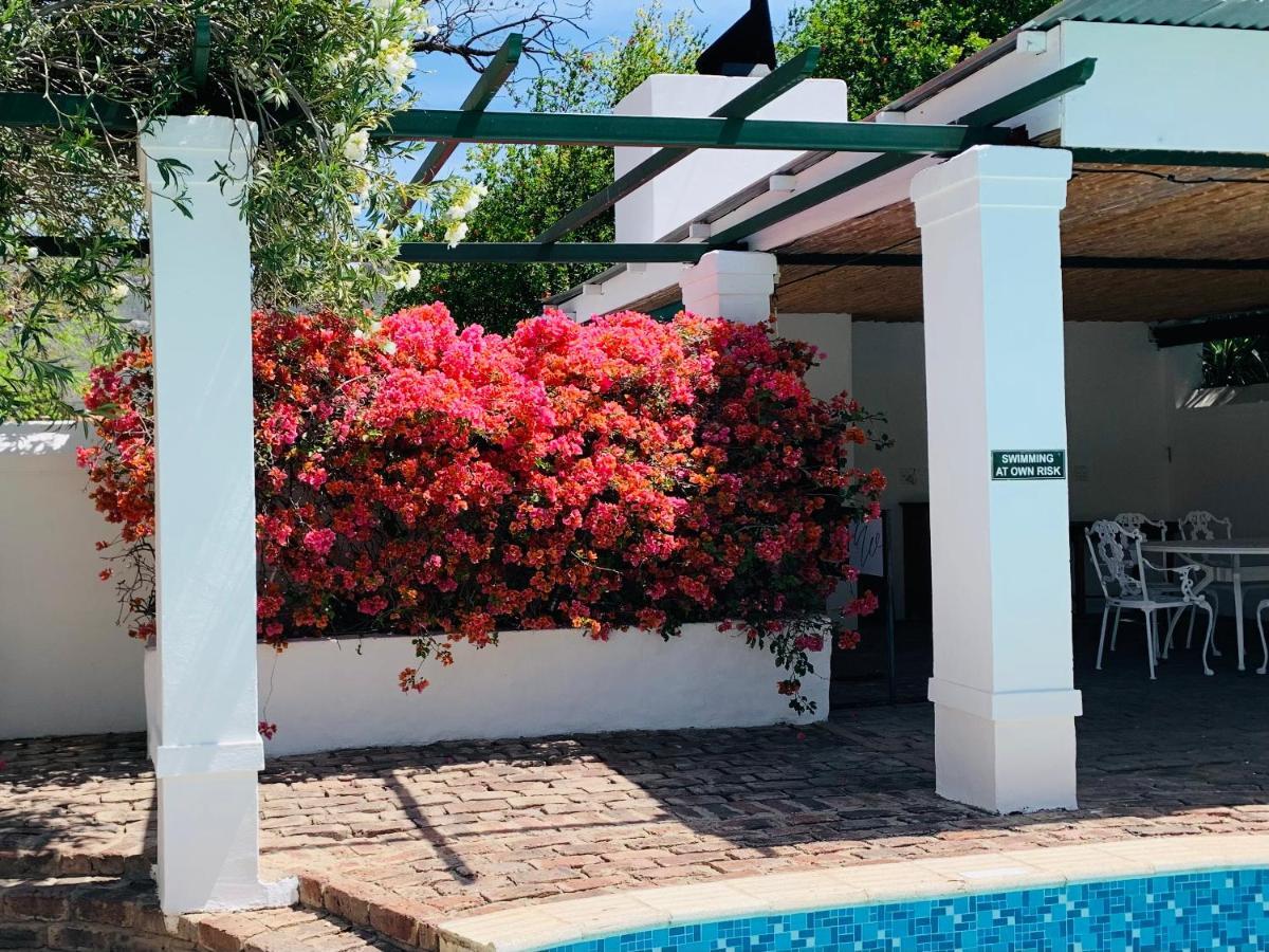 De Wingerd B & B Graaff-Reinet Εξωτερικό φωτογραφία